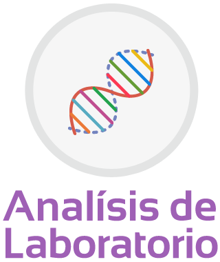 Analísis de Laboratorio y Gabinete
